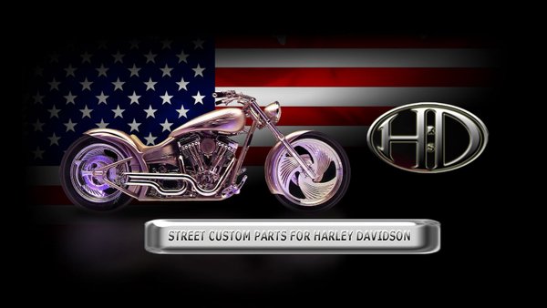 Road Specials Gebrauchteile Harley Davidson
